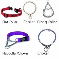 choker leash for dogs