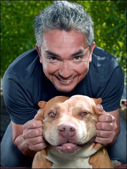 Cesar millan hotsell chew toys